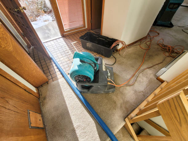 Best Water damage mitigation services  in Sweet Home, OR